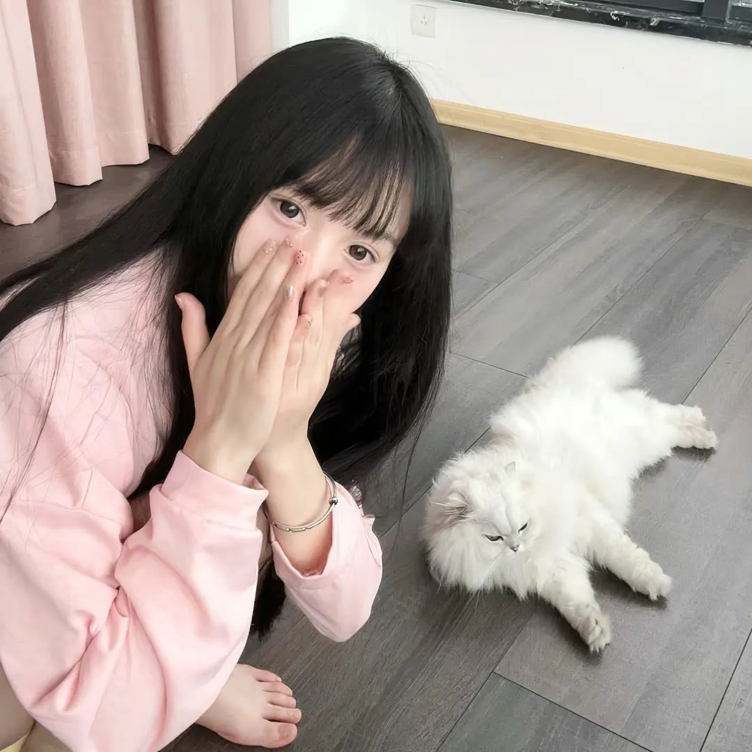 生生舞不息